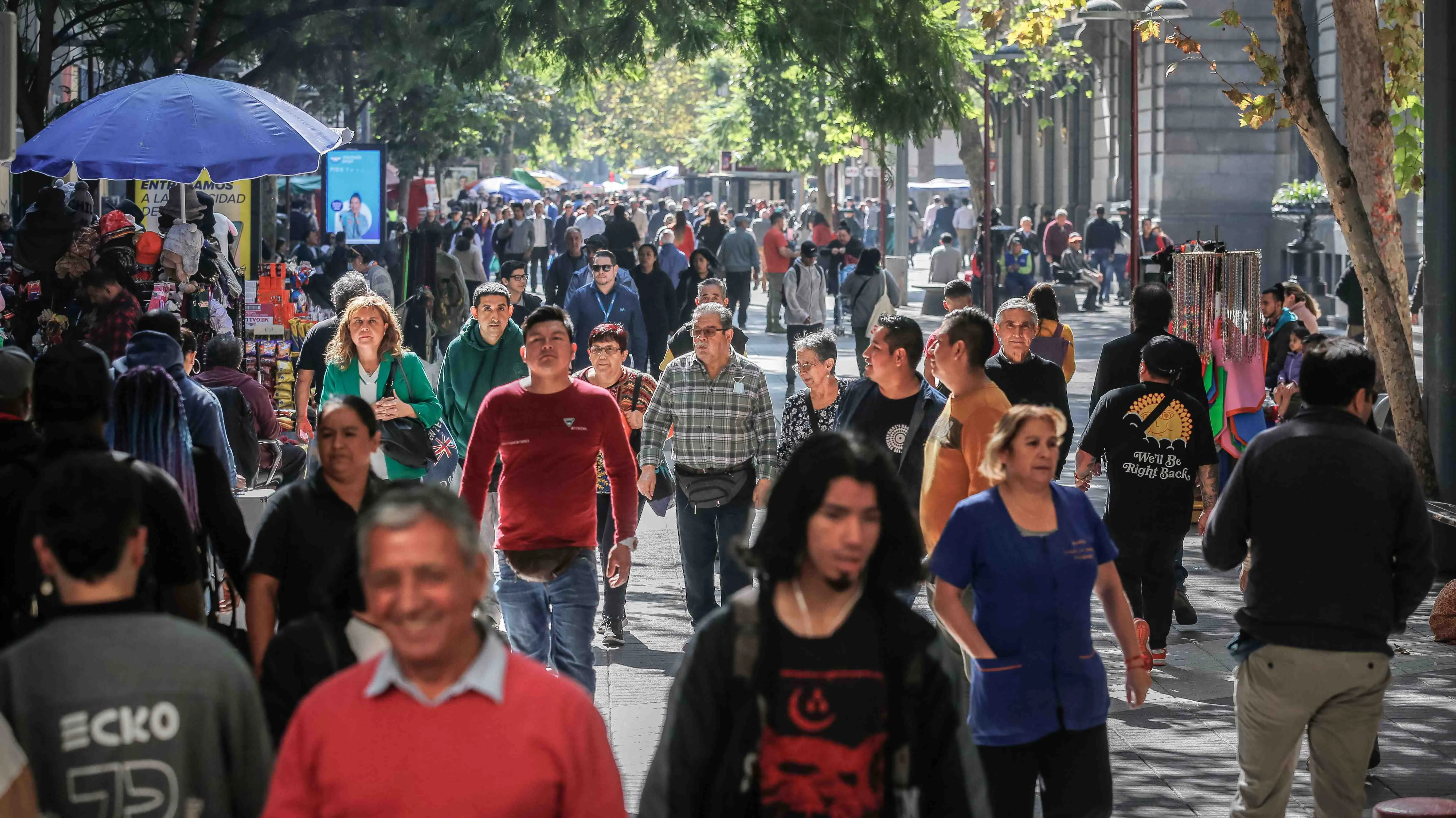 Jara cae 5 puntos tras compleja semana: Expertos apuntan a "erosión" de liderazgo y explican alza de Matthei